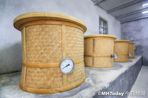 非常,驚喜等著你