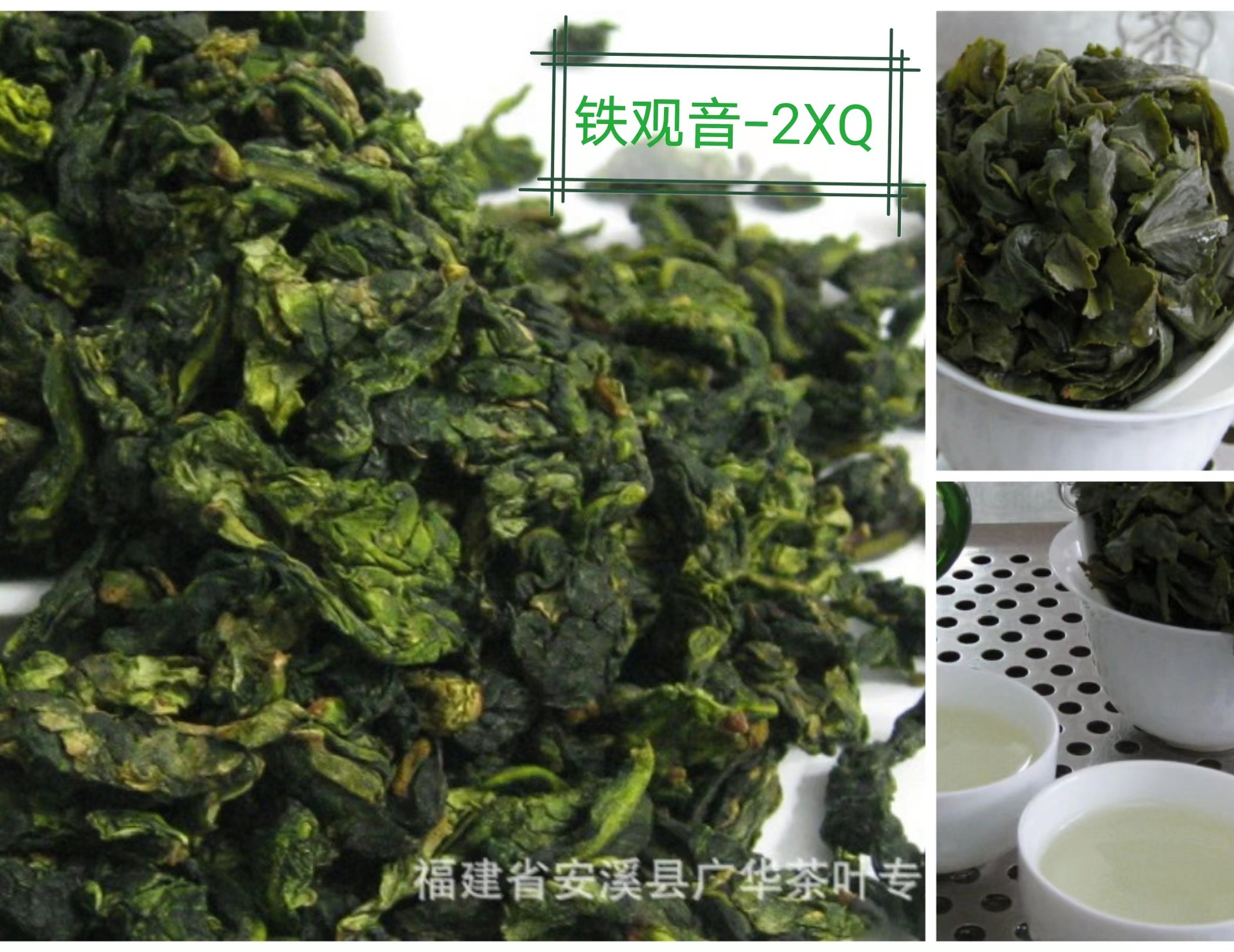 烏龍茶安溪鐵觀音茶葉濃香型蘭花香茶梗沫散裝批發奶茶店奶茶原料
