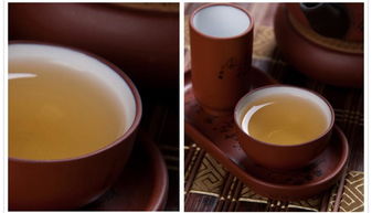 九洲韻 安溪鐵觀音 茶葉 濃香型 光武中興 精品禮盒裝468g