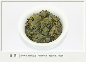 正宗安溪鐵觀音 清香型鐵觀音禮盒裝，品味茶中珍品