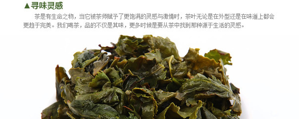 八斗茗茶 正味安溪鐵觀音王特級(jí)茶葉 福建烏龍茶的秋日饋贈(zèng)
