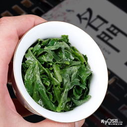 安溪鐵觀音 烏龍茶中的典雅瑰寶